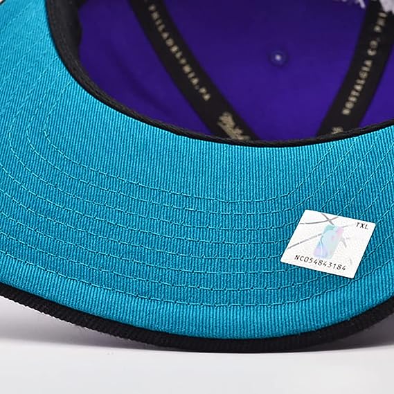 Men's Charlotte Hornets Mitchell & Ness NBA Core Basic HWC Purple/Black Snapback Hat