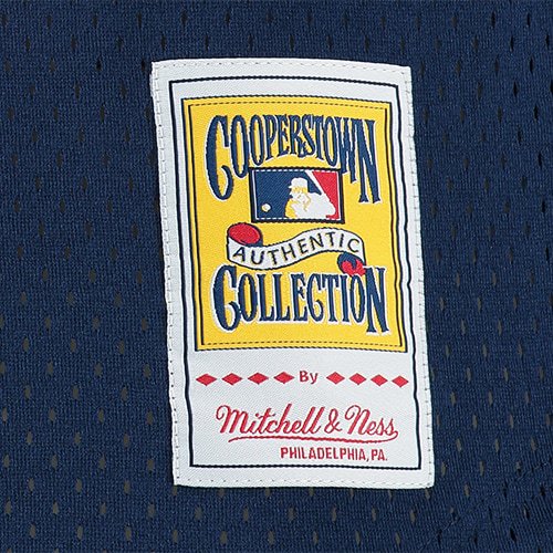Men's Craig Biggio Houston Astros Mitchell & Ness Cooperstown Mesh Batting Practice Jersey - Navy