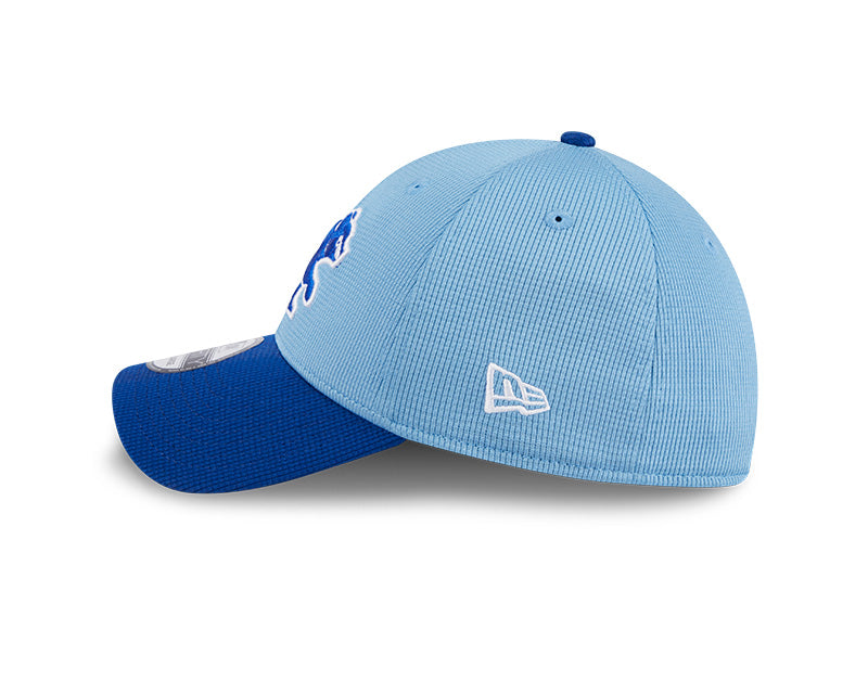 Men's Chicago Cubs New Era Blue Spring Training 39THIRTY Flex-Fit Hat