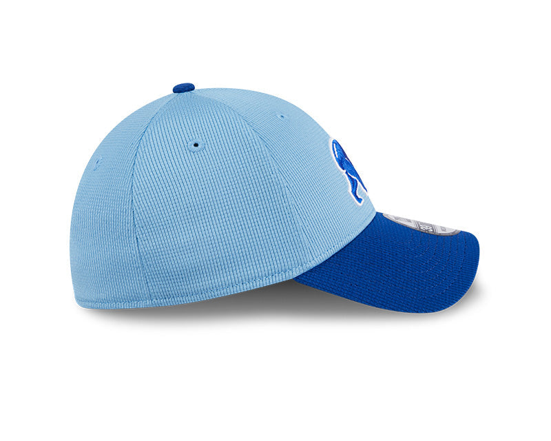 Men's Chicago Cubs New Era Blue Spring Training 39THIRTY Flex-Fit Hat