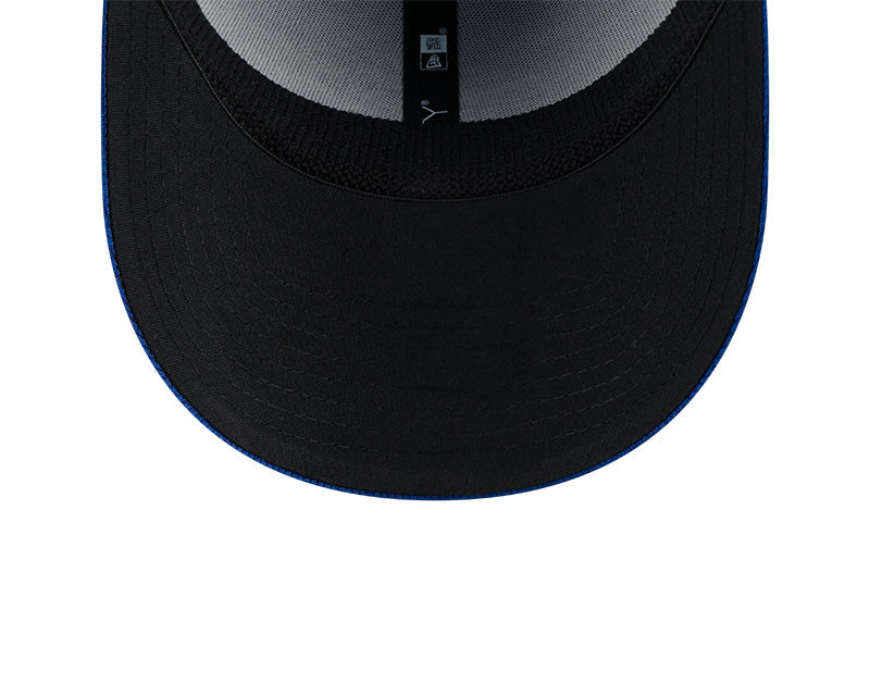 Men's Chicago Cubs New Era Blue Spring Training 39THIRTY Flex-Fit Hat