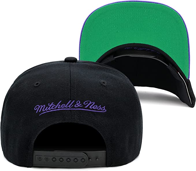 Toronto Raptors 2 Tone Black/Purple Hardwood Classics Team Script 2.0 Mitchell & Ness Snapback Hat