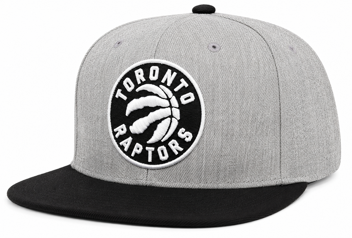 Toronto Raptors Mitchell & Ness Gray Black Pop Snapback Hat