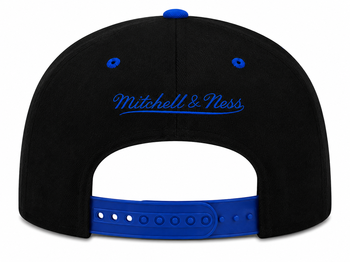 Men's Toronto Raptors Royalty Michell & Ness Snapback Hat