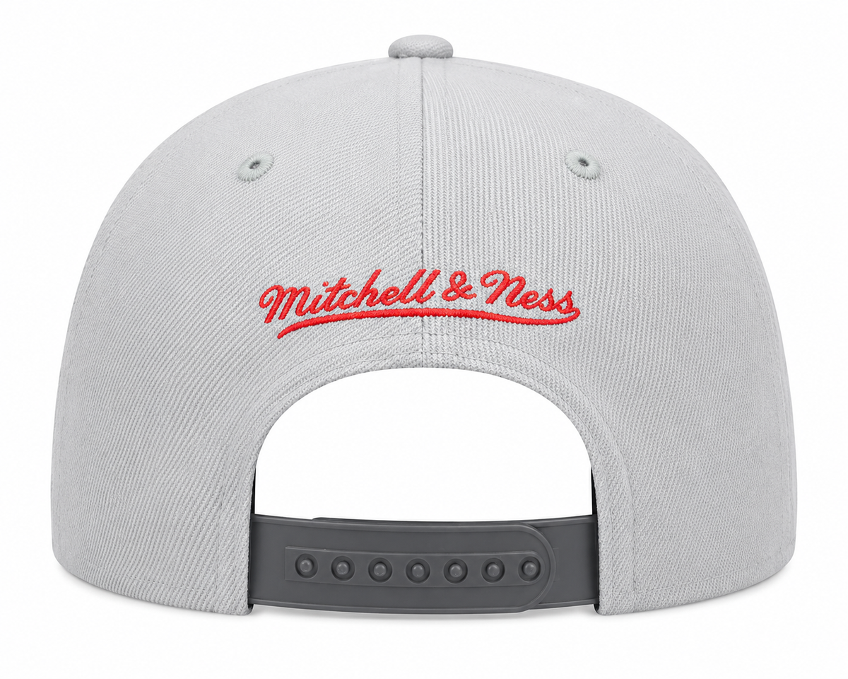 Men's Toronto Raptors NBA Cool Gray 3 HWC 2 Tone Mitchell & Ness Snapback Hat