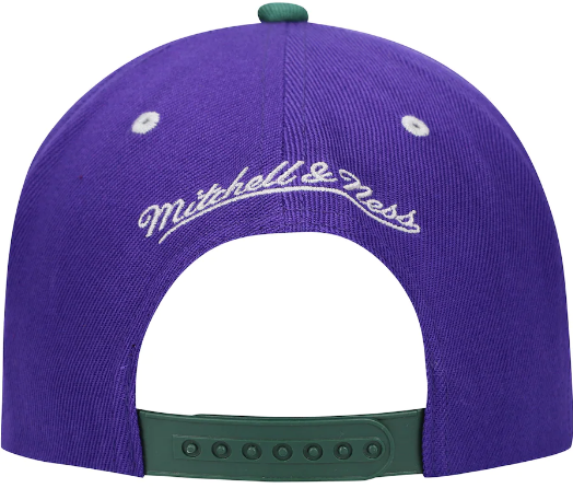 Men's Milwaukee Bucks Mitchell & Ness Hardwood Classics Reload 2.0 Snapback Hat - Green/Purple