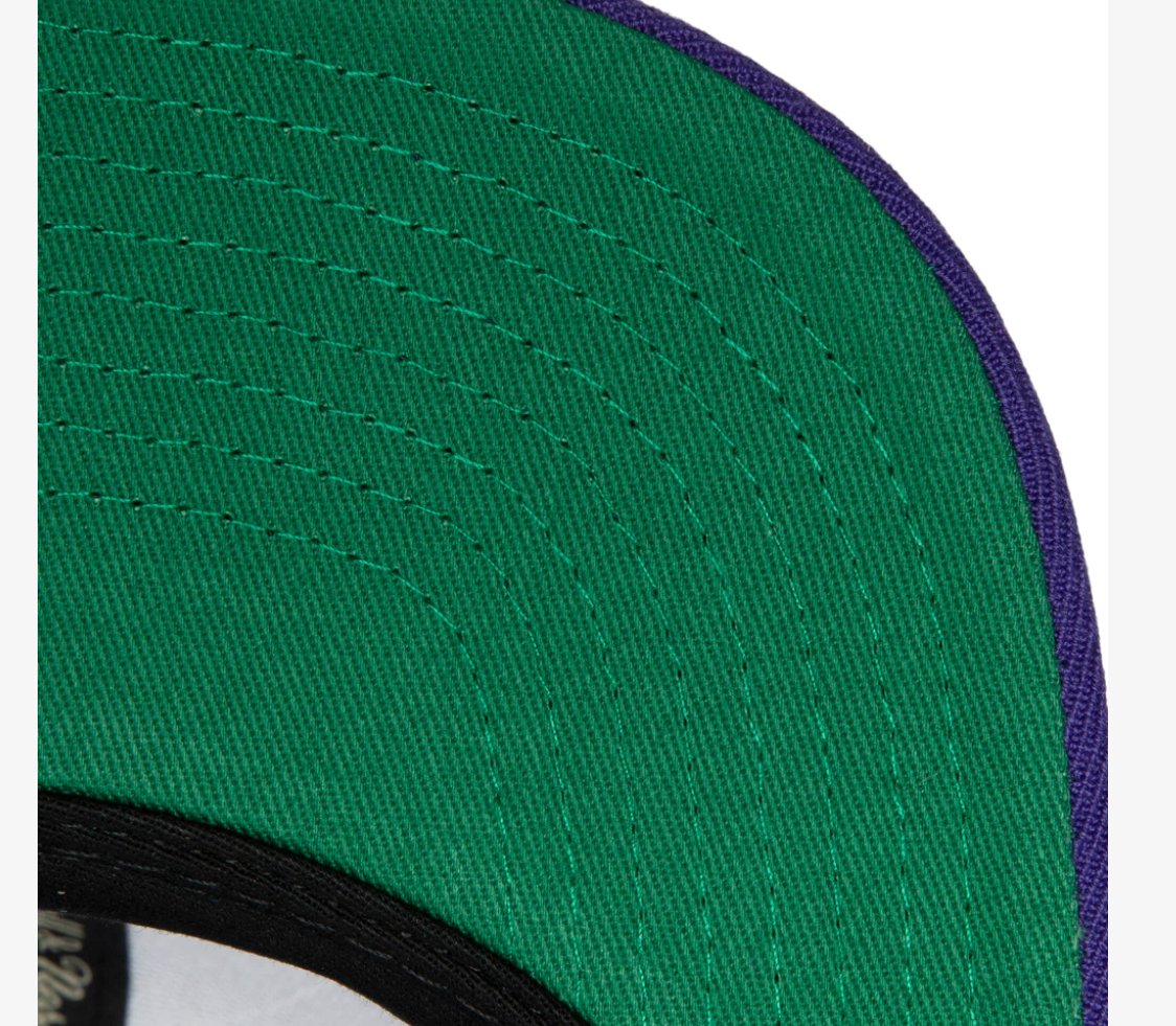 Men's Toronto Raptors Ground 2.0 Purple Snapback Hat By Mitchell & Ness
