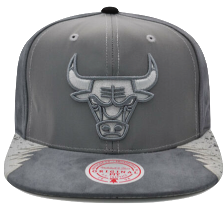 Chicago Bulls Mitchell & Ness 3M AIR JORDAN DAY 5 Snapback Hat- Gray/Silver