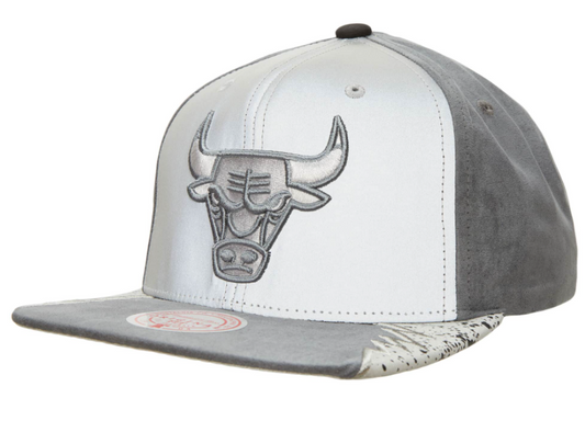 Chicago Bulls Mitchell & Ness 3M AIR JORDAN DAY 5 Snapback Hat- Gray/Silver
