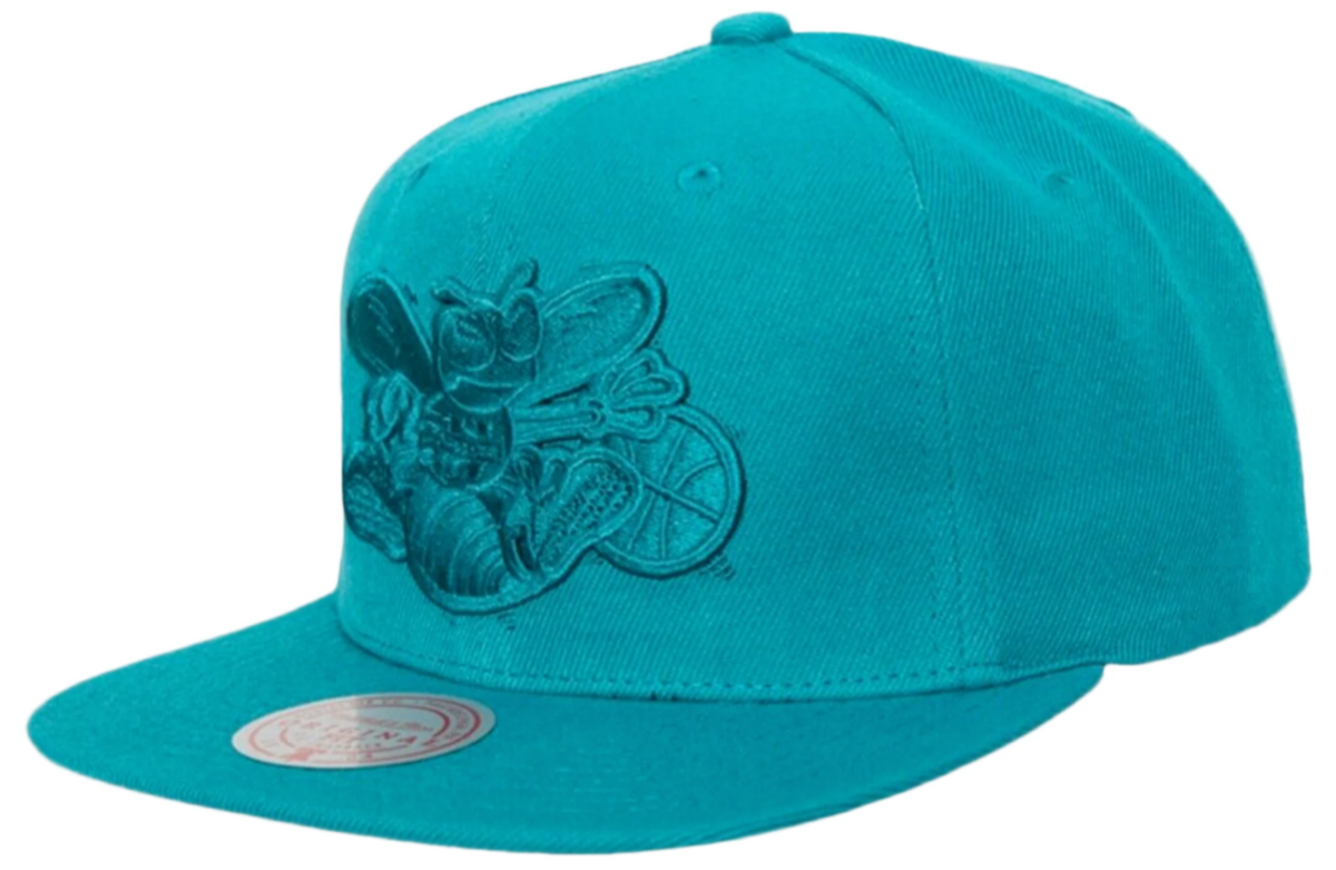 Charlotte Hornets Mitchell & Ness Tonal Eclipse Snapback Hat- Teal