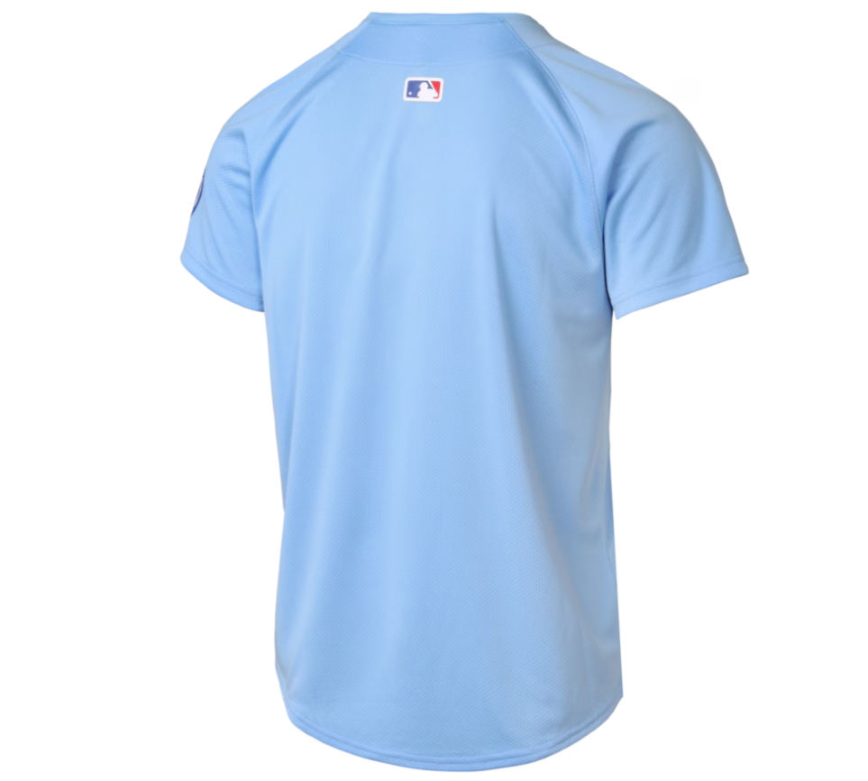 Youth Chicago Cubs Baby Blue Blues Alternate 2 Nike Limited Replica Jersey