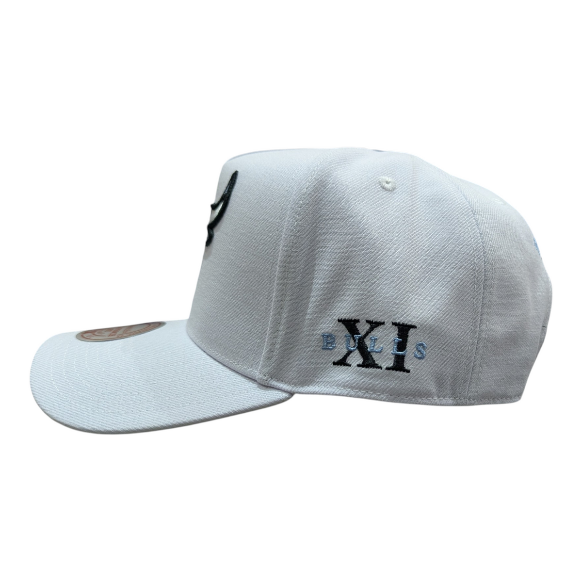 Chicago Bulls Mitchell & Ness NBA Core Jordan XI Pro Snapback Hat