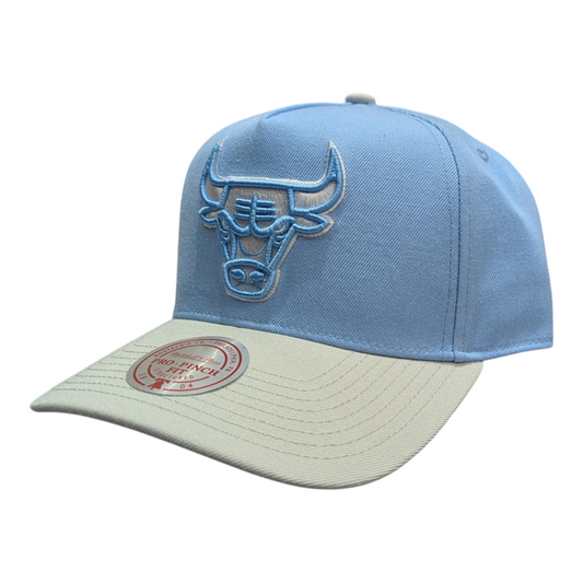 Chicago Bulls Mitchell & Ness NBA Blue Gleam Pro Snapback Hat