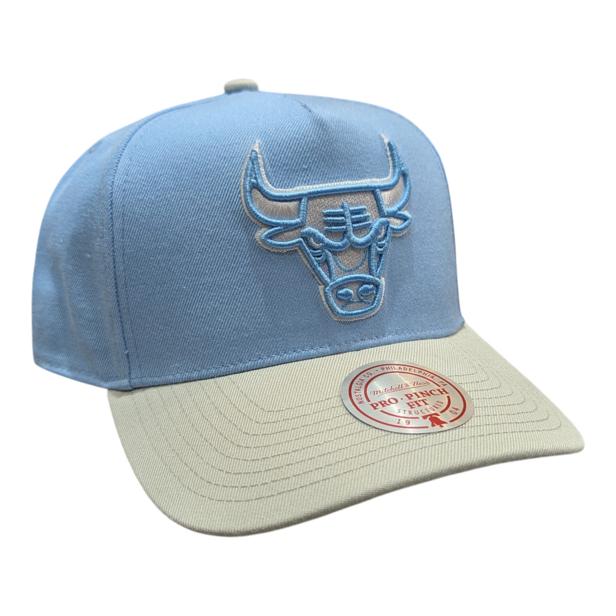 Chicago Bulls Mitchell & Ness NBA Blue Gleam Pro Snapback Hat