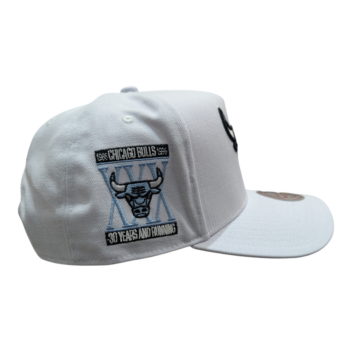 Chicago Bulls Mitchell & Ness NBA Core Jordan XI Pro Snapback Hat