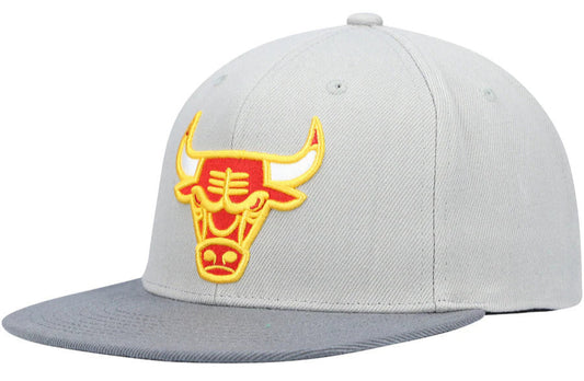 Men's Mitchell & Ness Chicago Bulls NBA Cool Grey 3 Adjustable Snapback